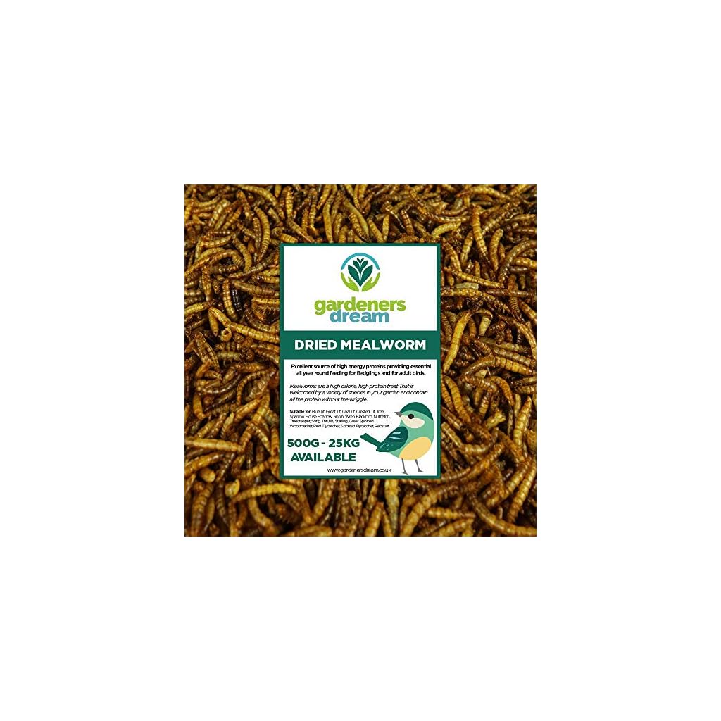 vers de Farine séchés GardenersDream – Friandises nutritives pour Oiseaux Sauvages (5kg)