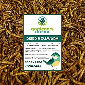 vers de Farine séchés GardenersDream – Friandises nutritives pour Oiseaux Sauvages (5kg)