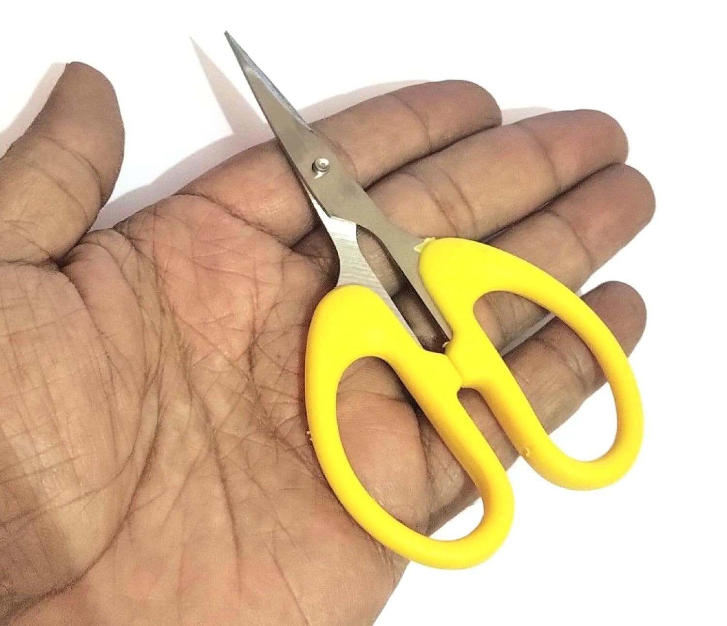 DeLegarde® Small Scissor for Home, Office, Craft, Hair Trimming, Travel Use Multi Purpose 1