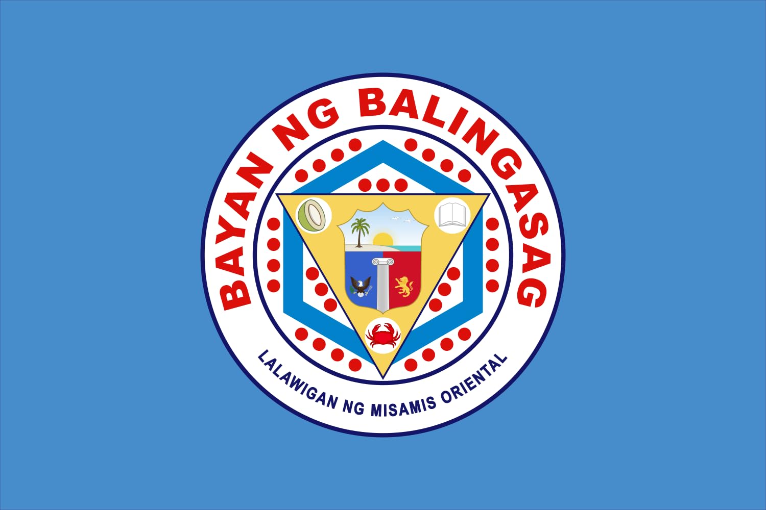 Drapeau de Balingasag Misamis en textile premium haute résistance extérieure