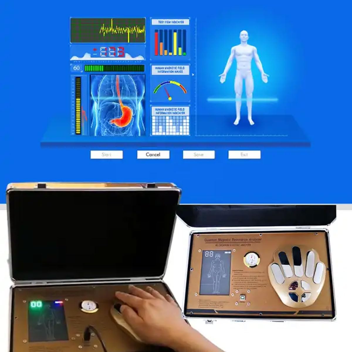 COYEUX Quantum Health Body Analyzer, Inteligentny detektor dynamicznych komórek ludzkich meridianów do szybkiego i dokładnego testowania zdrowia fizycznego dla wszystkich systemów Windows