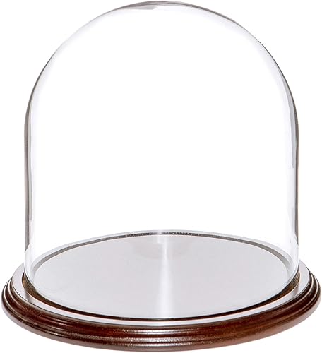 Plymor Cúpula de cristal de 8" x 8" (base de chapa de caoba oscura)