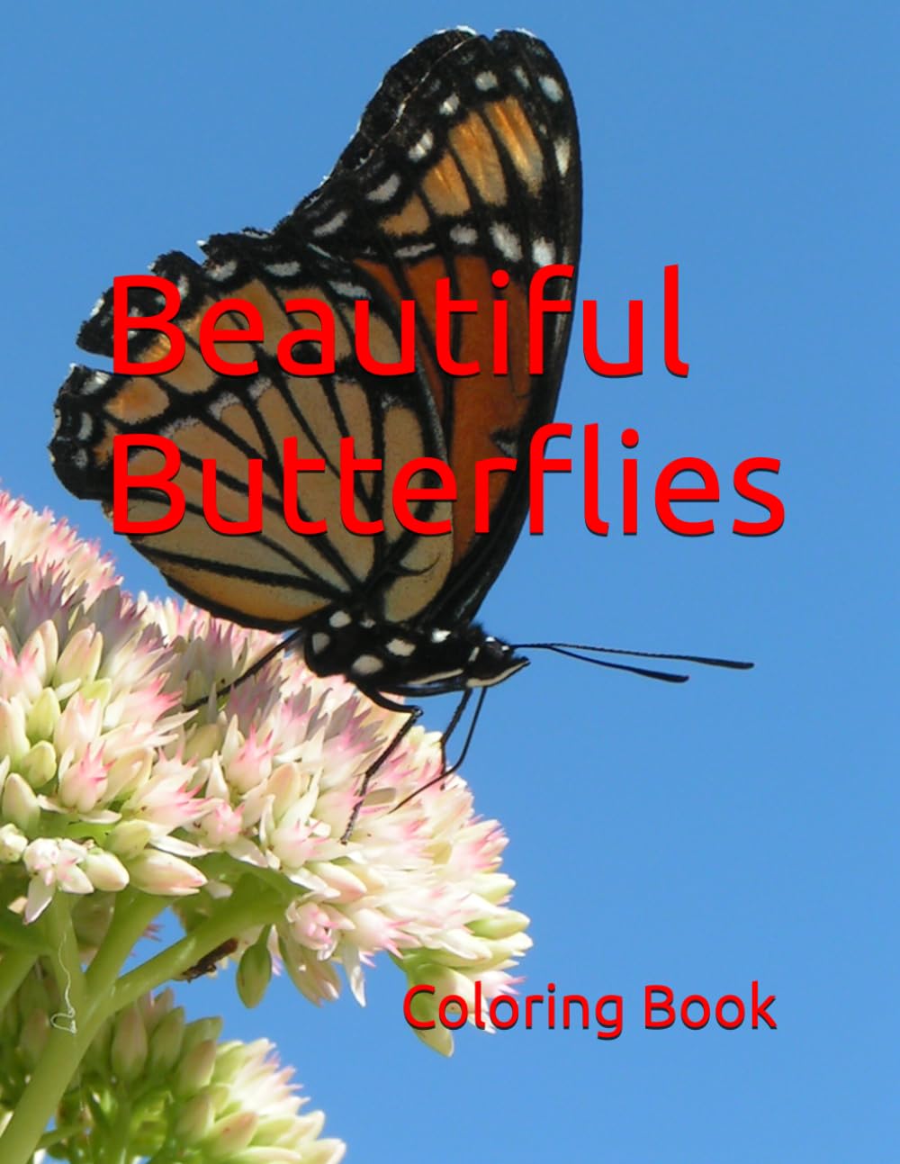 Beautiful Butterflies Coloring Book
