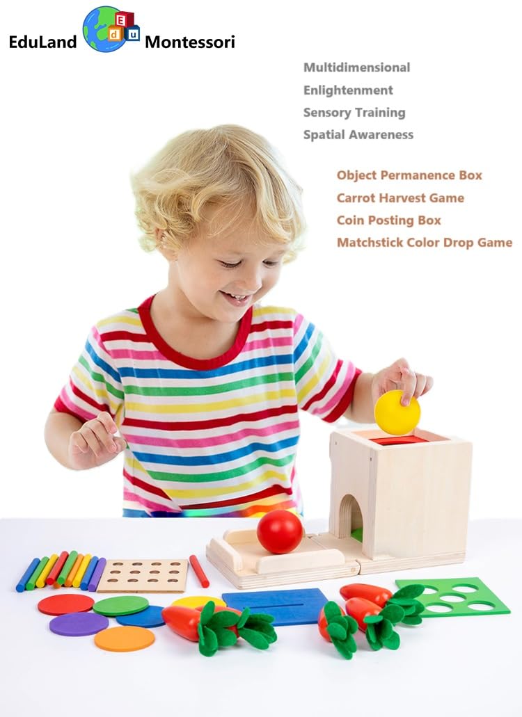 EduLand Montessori Practical Life Wooden 4-in-1 Toddlers Play Kit, Object Permanence Posting Coin Box, Carrot Harvest, Color Sticks Push- Matching, Motor Skill for Babies Kids 3-6 Years Old