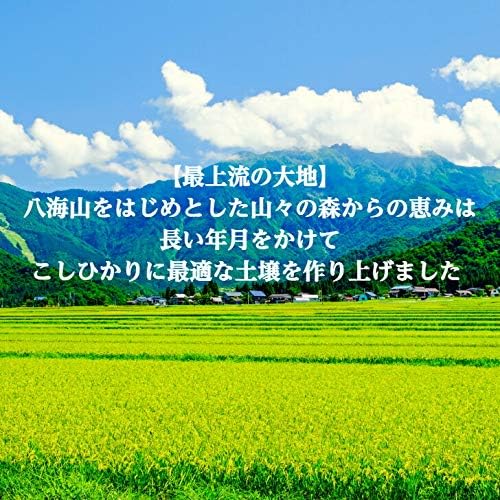 精米 新潟県 魚沼産 コシヒカリ 白米 米 コメ(5㎏×1袋)