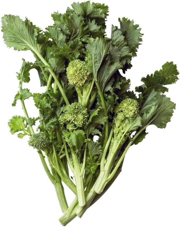 Veggie Seedlings: Ready-to-Plant Seedlings, Starts, Plugs, Garden-Ready, Live Plants, Transplants, Pre-sprouted, for Soil & Hydroponic Gardens (6 seedlings)