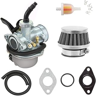 PZ19 Carburetor for TaoTao Kazuma Baja 70cc 90cc 110cc 125cc NST SunL Chinese Quad 4 Stroke ATV Go Kart Pit Dirt Bike CRF50F XL75 CRF80F XR50R with Air Fuel Filter