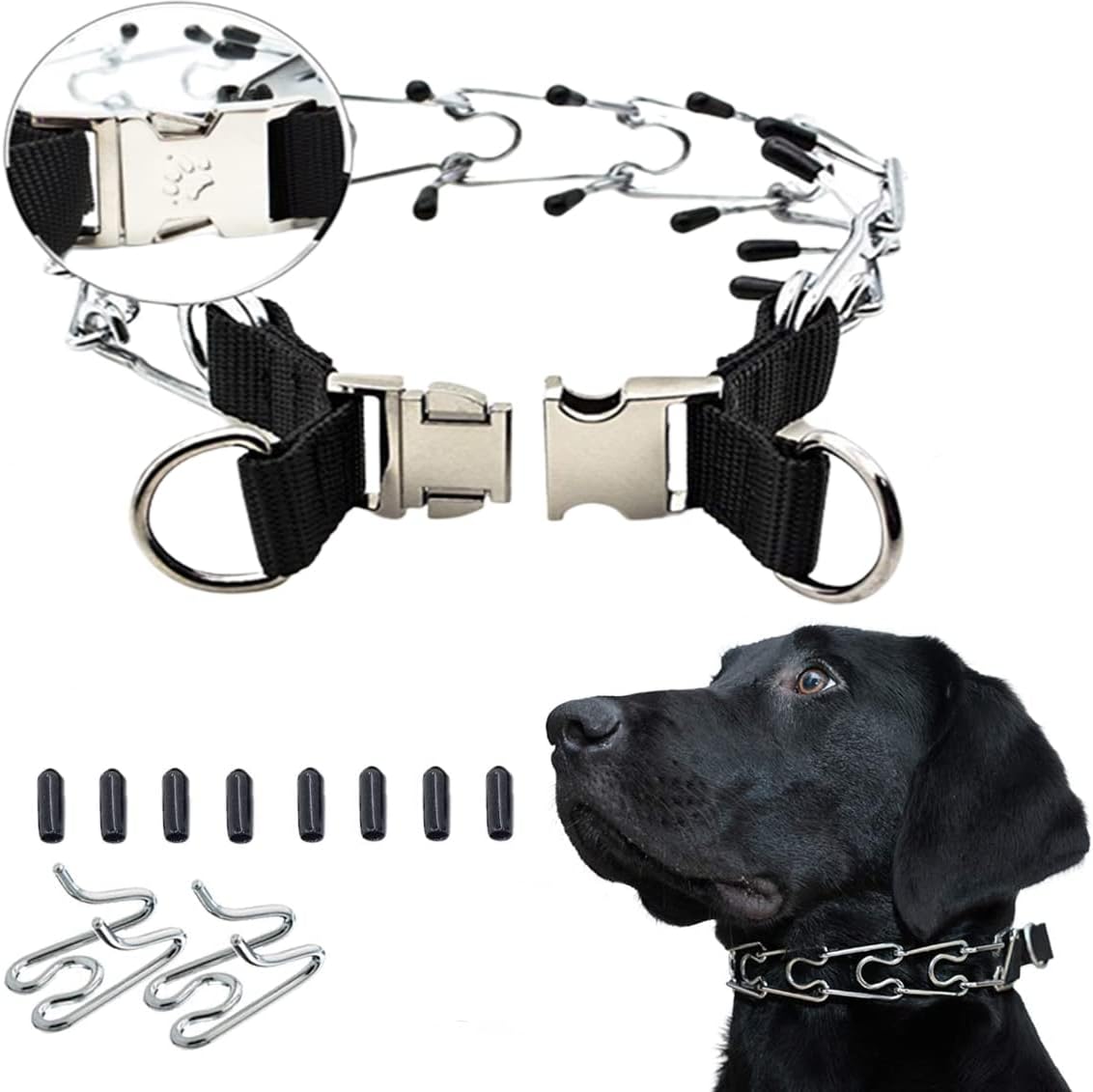 Are Prong Collars Bad For Dogs