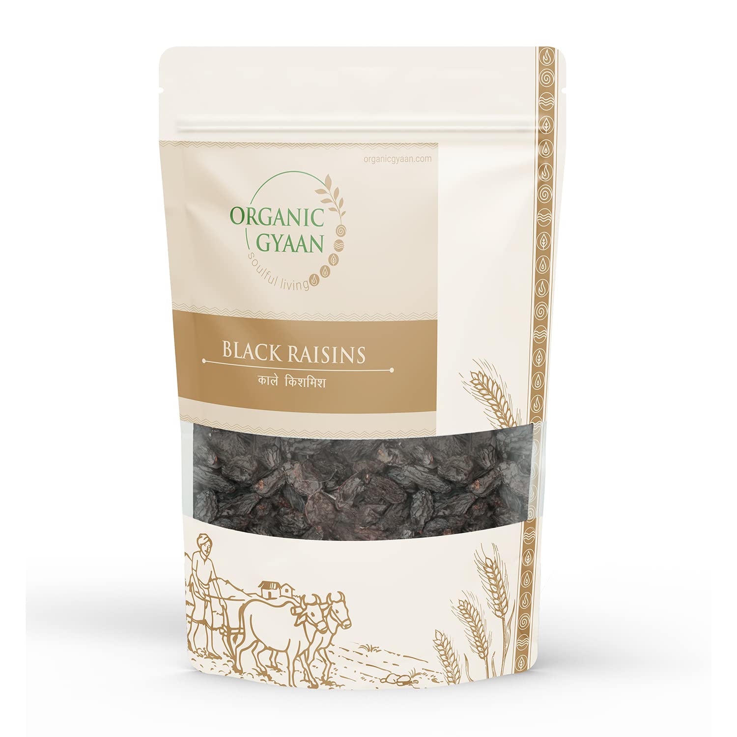 Organic Gyaan ® | Natural Black Raisin, Black Kishmish | Seedless Raisins | Dried Kishmish | Non GMO Black | USDA Certified | 250 gm - Pack of 1 (B09NK8QP6N) Amazon Price History, Amazon Price Tracker