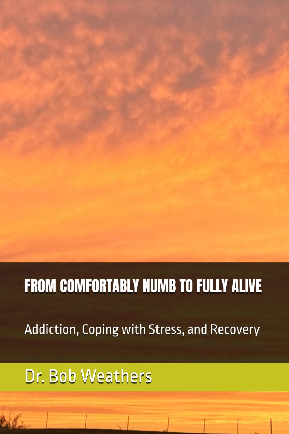 FROM COMFORTABLY NUMB TO FULLY ALIVE: Addiction, Coping with Stress, & Recovery