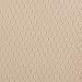 Amazon Basics RFID Travel Neck Passport Holder Wallet - Solid, Khaki