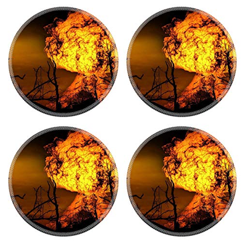 MSD Round Drink Coasters Set of 4 Natural Rubber Design for Background Fire