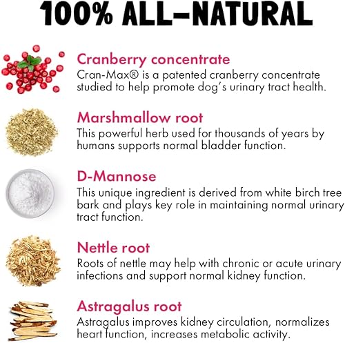 Miniatura 30 de Allergy Relief Chews for Dogs & Immune & Digestive Supplement with Wild Salmon Oil Kelp Colostrum Turmeric Probiotics & Bee Pollen for Seasonal