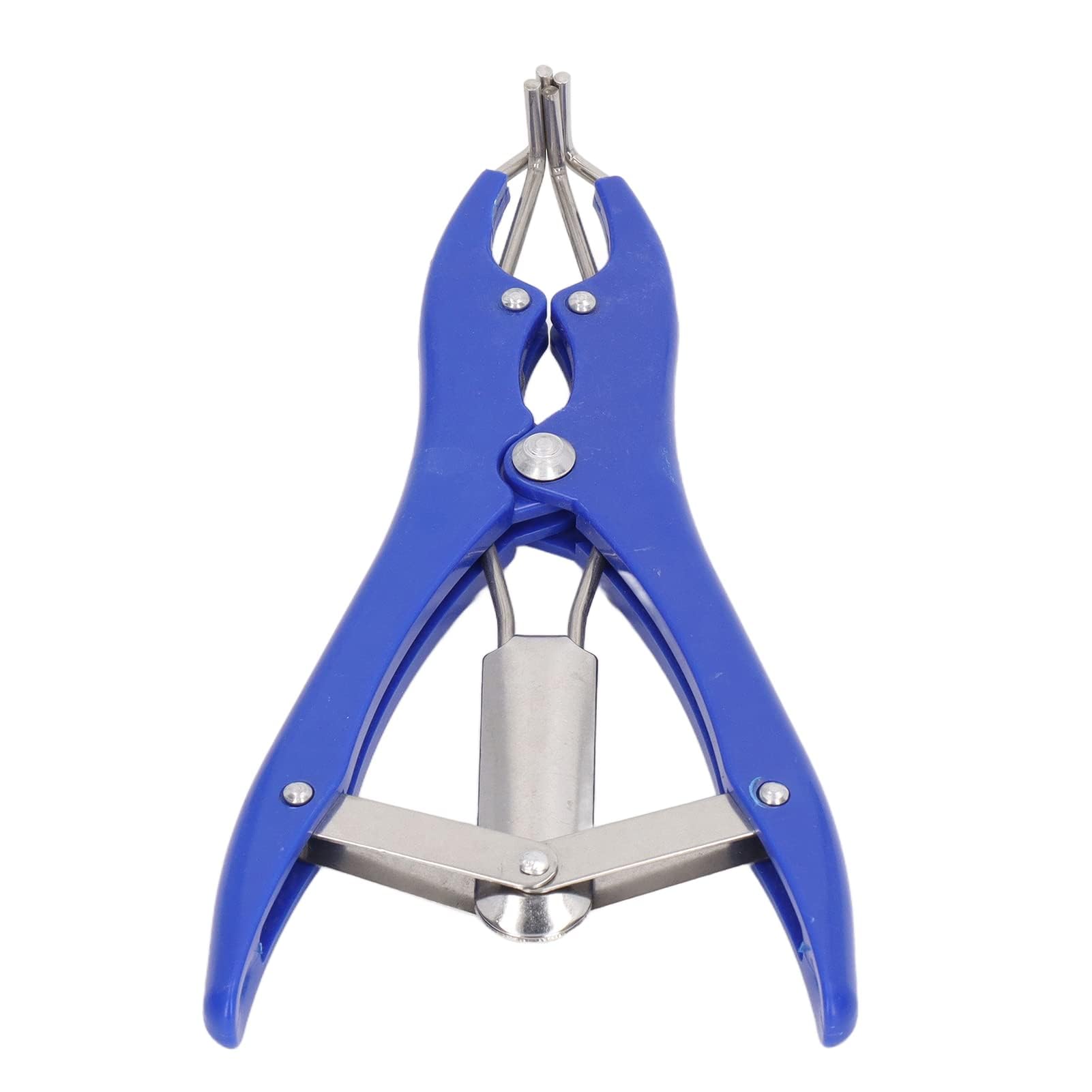 Kit Professionale per Castrazione 1 Pinza Elastrator in Plastica Durevole 100 Anelli Elastici di Gomma Rossa, per Ovini, Caprini e Suinetti Strumento per Allevamento e Uso Veterinario