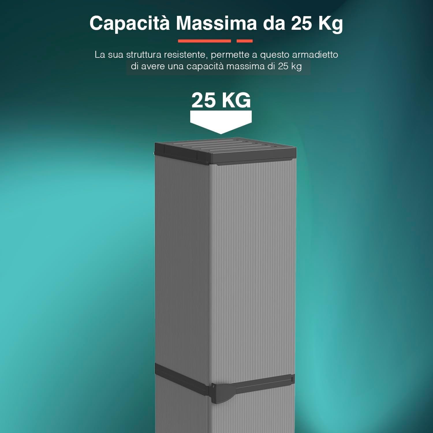 Avilia Armadio da Esterno Alto 1 Anta - Mobile Modulare Salvaspazio con 4 Ripiani, Montaggio Facile, Ottimo per Esterni e Interni, in Resina Termoplastica, Grigio e Nero, 34x39.5x168cm, Made in Italy