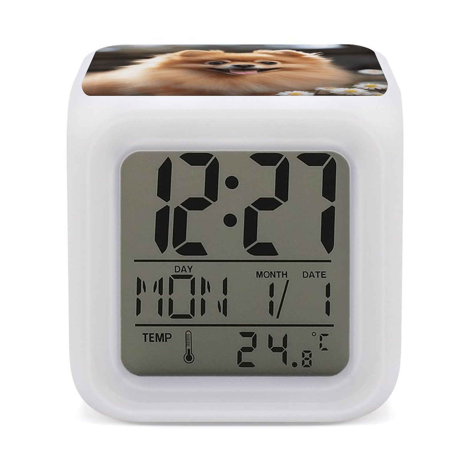 VstaDank Pomeranian Dog Alarm Clocks with 7 Color Changing Night Light Exquisite Bedroom Digital Clocks with LED Temperature Display Desk Clock Ok to Wake Clocks for Heavy Sleeper