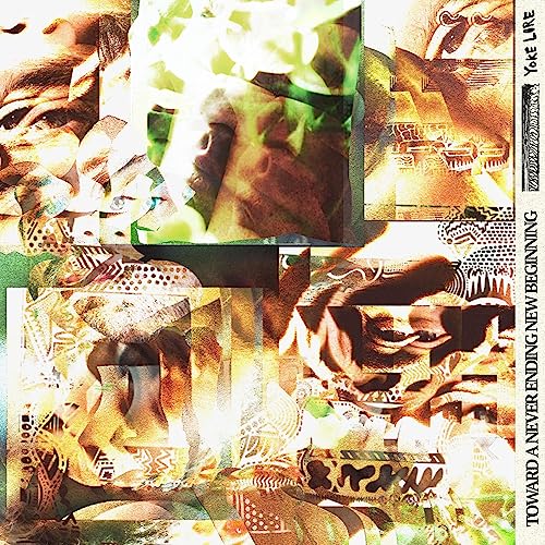 Toward a Never Ending New Beginning - Vinyl release thumbnail