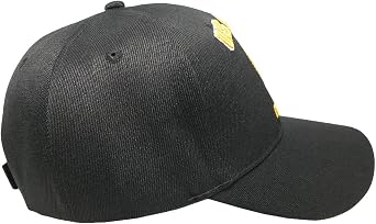Trade Winds US Army DSG Drill Sergeant Retired Black 100% Acrylic Adjustable Embroidered Cap Hat