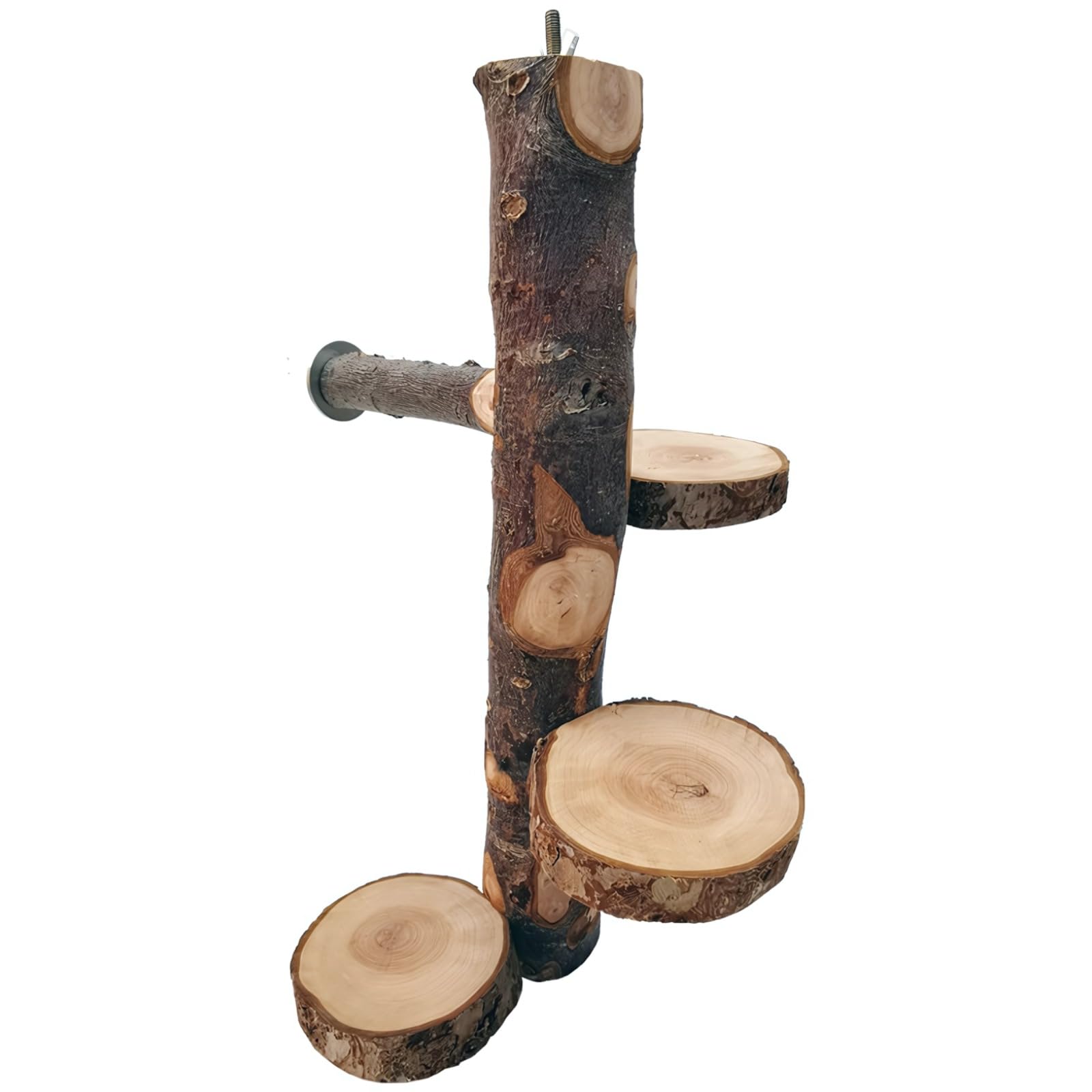 Plataforma giratoria BOSREROY para chinchilla con soporte de escalada vertical