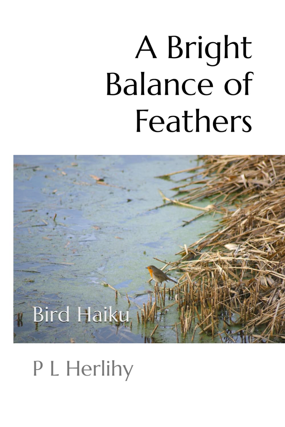 A Bright Balance of Feathers: Bird Haiku