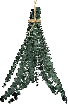 Dried Eucalyptus Bundles for Shower - Natural Hanging Shower Decor with Real Eucalyptus Leaves
