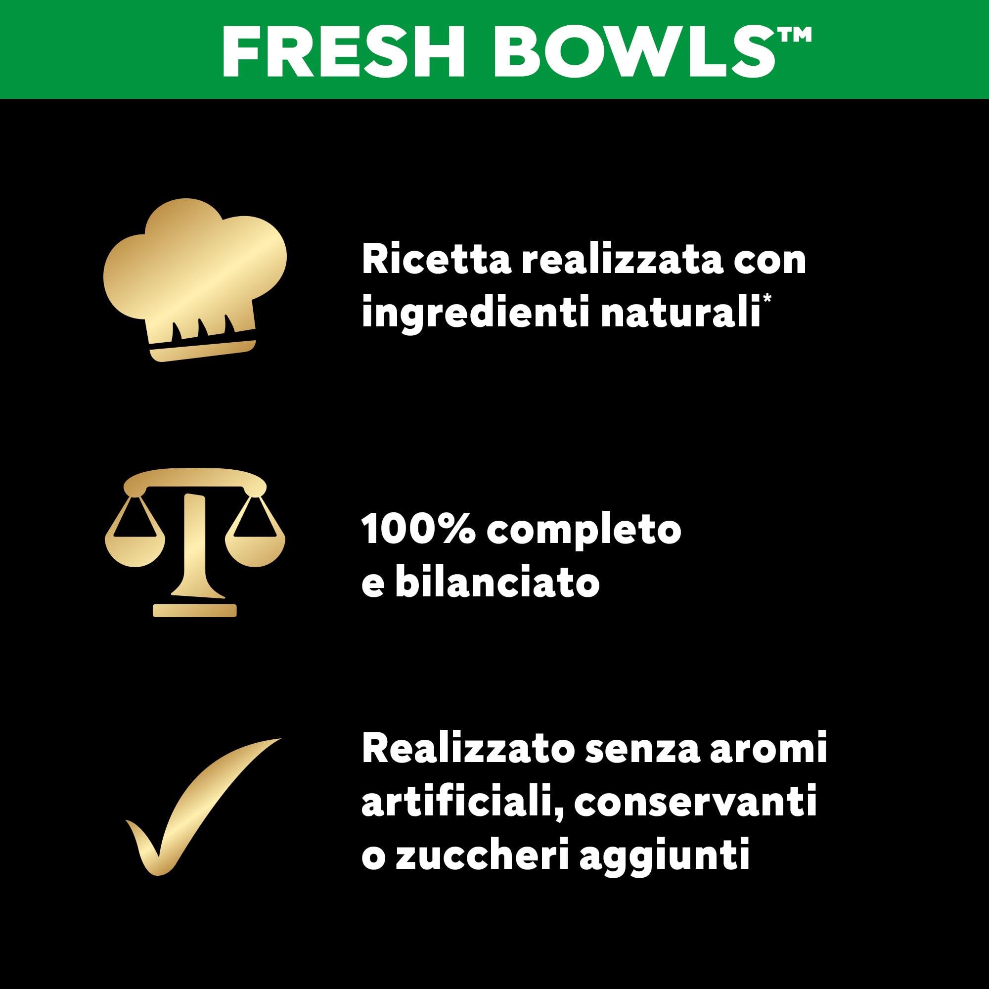 CESAR Fresh Bowl Cani Adulti Pollame con Riso, Fagiolini, Zucca Salsa 85g, 10 Confezioni