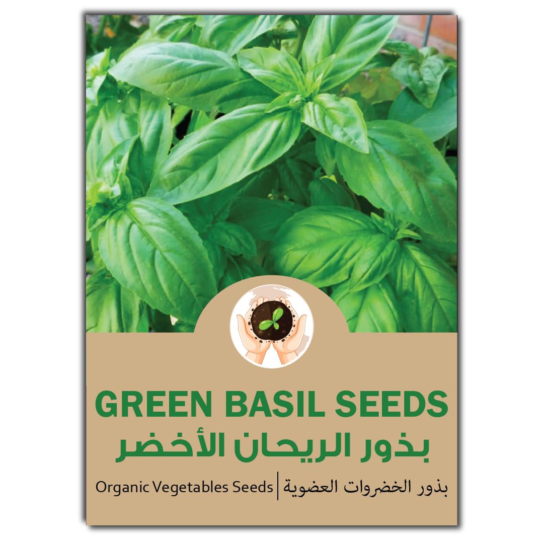 Basil Seeds for Planting - Green Basil Seeds for Planting - Organic Basil Vegetable Seeds