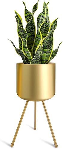 Maceta de metal Mid-Century con soportes, elegante y moderna maceta dorada, adecuada para orquídeas, decoración de aloe para interiores y