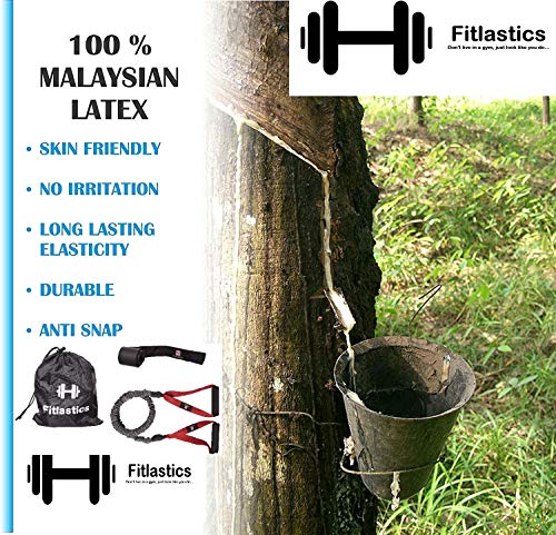 Image of Resistance Loop Bands Set of 4 (Light, Medium, Heavy, X-Heavy) - Premium Latex Exercise Bands for Yoga, Workout, Strength Training, Home Gym Fitness Bands for Men & Women