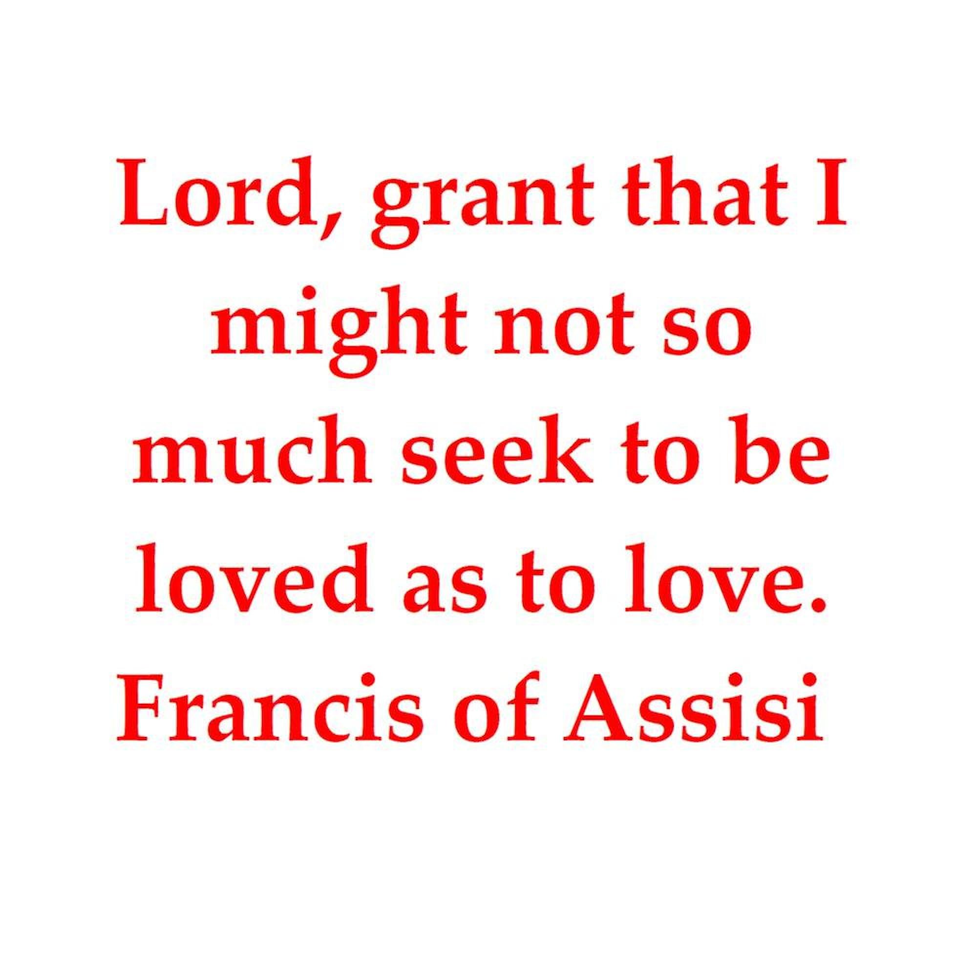 CafePress Fa111 Twin Duvet Cover, Printed Comforter Cover, Unique Bedding,