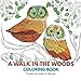 A Walk in the Woods Coloring Book: Forest Animals in Nature