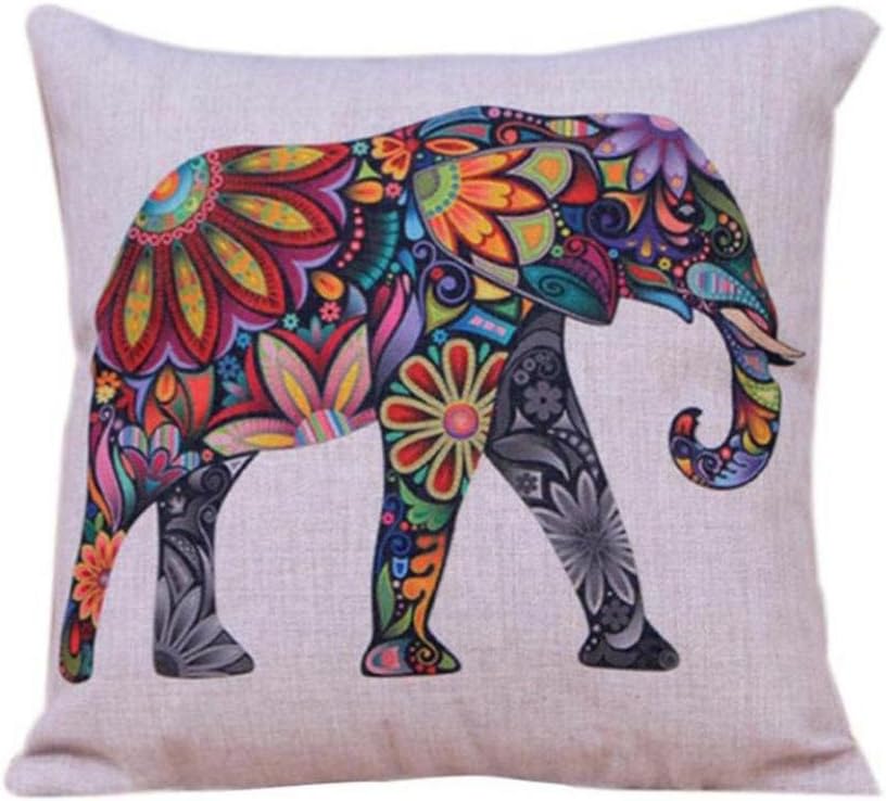 OUBAO Bed Sofa Decorative Colorful Feather Pillow Case Cushion Cover (A)