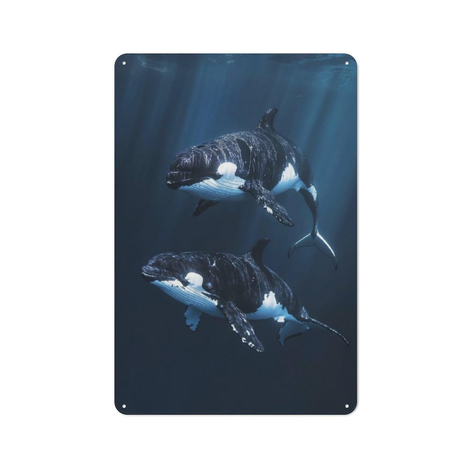 Junmoney Two Orcas Swimming Tin Sign 30X20cm For Living Room Wall, Rustic Wall Decor, For Living Room Decor Lovers