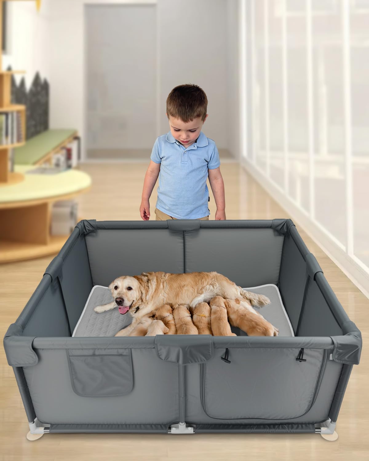 Boîte de naissance pour chiens de petite et moyenne taille - 120 x 120 x 45 cm | Grise, clôture d'activité pour chiots, tissu Oxford avec coussin absorbant pour chiot