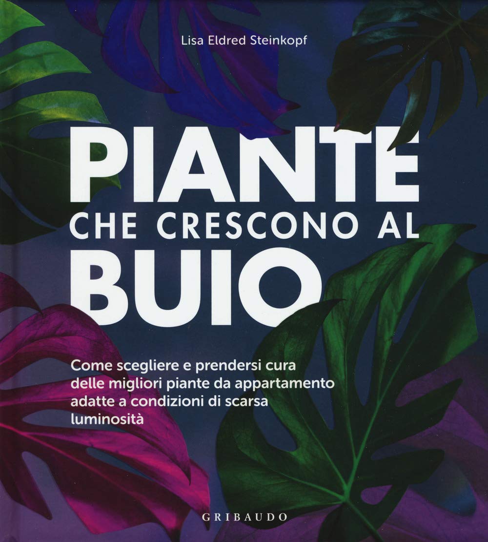 Piante Che Crescono Al Buio. Come Scegliere E Prendersi Cura Delle Migliori Piante D'appartamento Adatte A Condizioni Di Scarsa Luminosità - 4