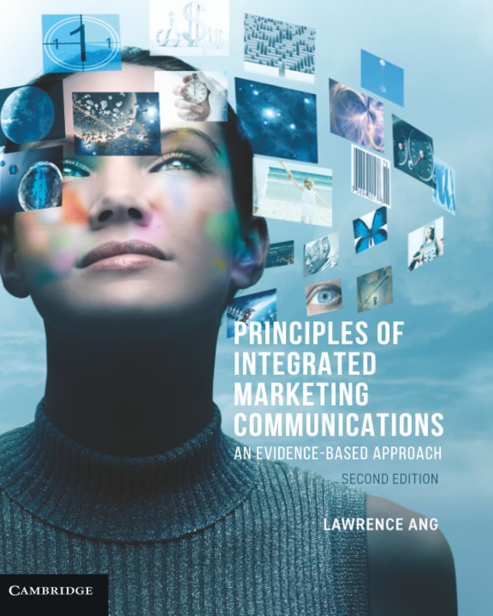 Principles of Integrated Marketing Communications: An Evidence-based Approach