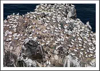 Hardcover Planet Iceland Book