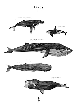 Coco Lapine Design アートポスター モノクロ フレーム付き 楽天