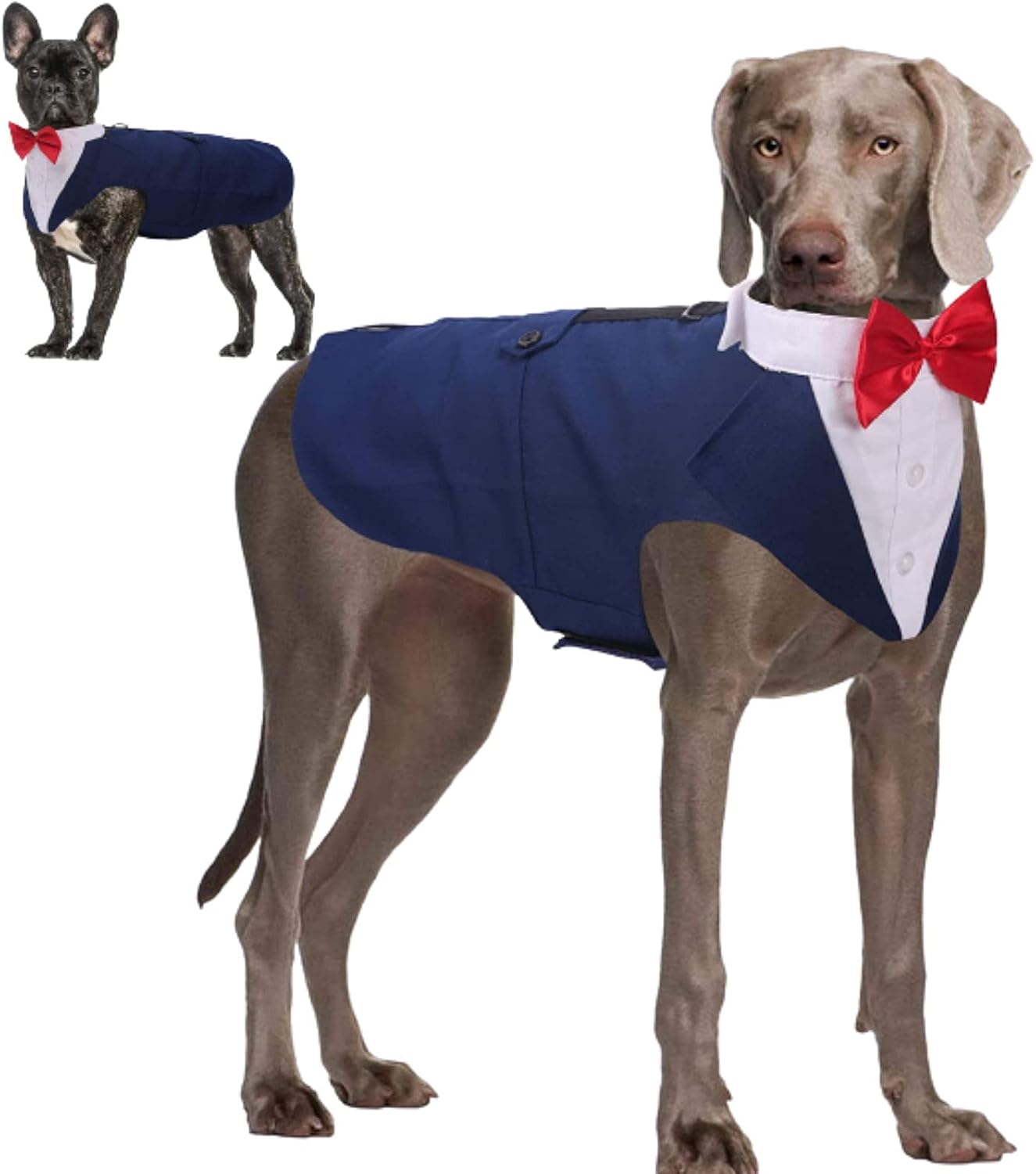 Dog Tuxedo, Dog Wedding Outfit and Bandana Set, Dog Tuxedo Costume, Pet Clothes Puppy Formal Shirt with Removable Bow Tie