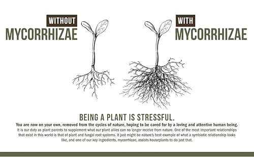 Miniatura 5 de Joyful Dirt Organics Fiddle  Ficus Premium - Alimento y fertilizante concentrado para plantas hace 4 galones  Coctelera fácil de usar de 3 onzas