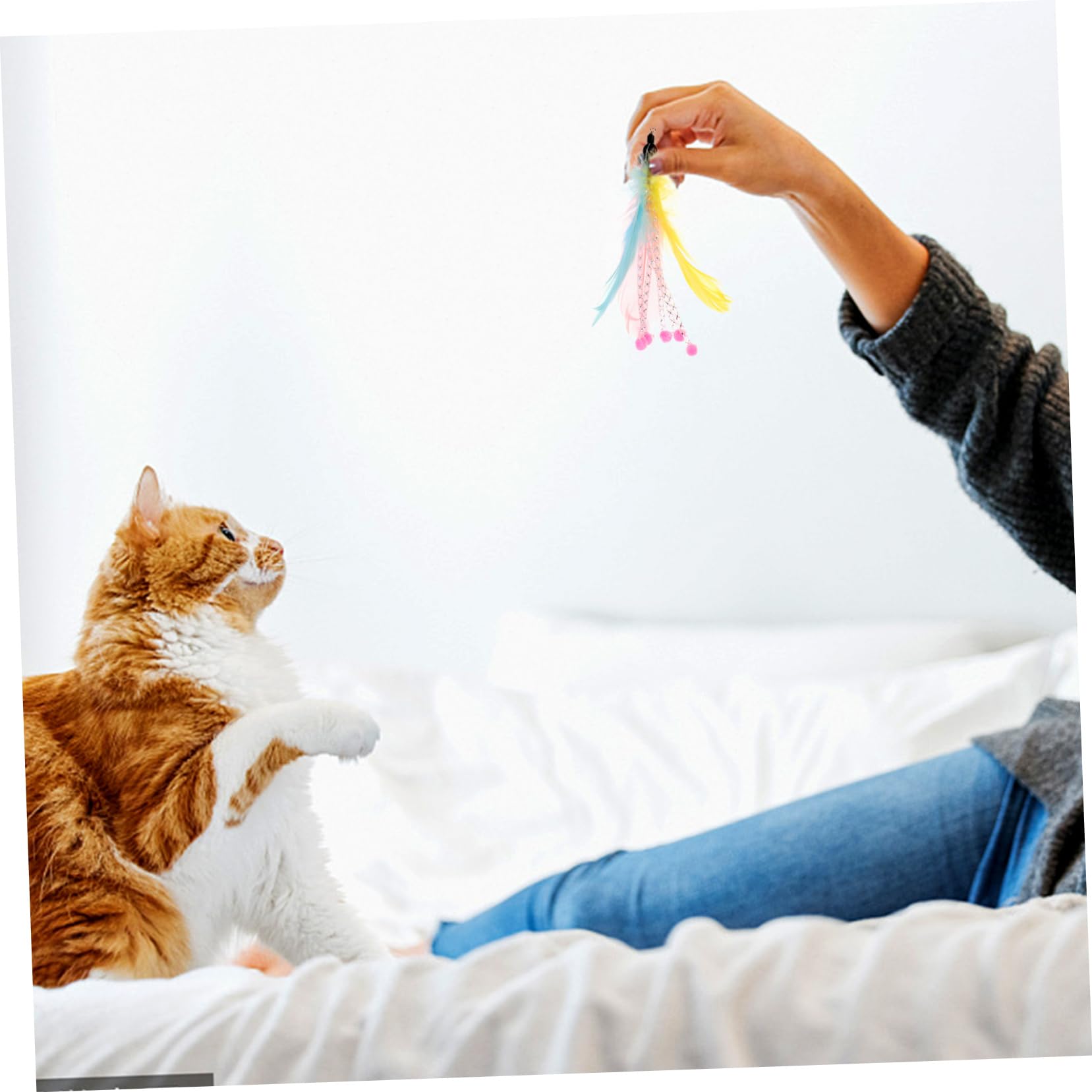 INOOMP 40pièces Jouets à Plume pour Chats Recharges pour Interactions Ludiques Intérieur Et Extérieur Améliorez De Votre Chat avec Sécurité