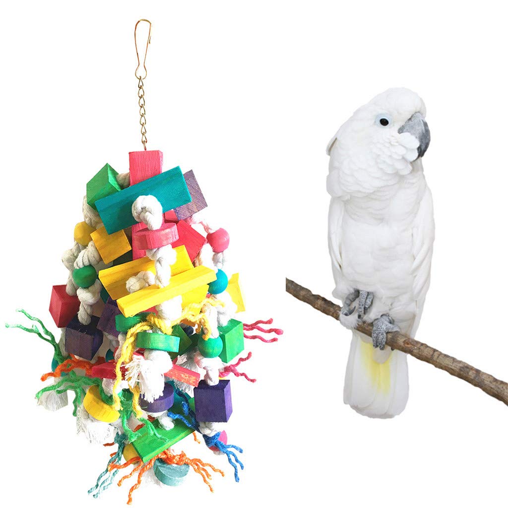 Amazon | おもちゃ インコ オウム ヨウムへ 天然の木材製 止まり木