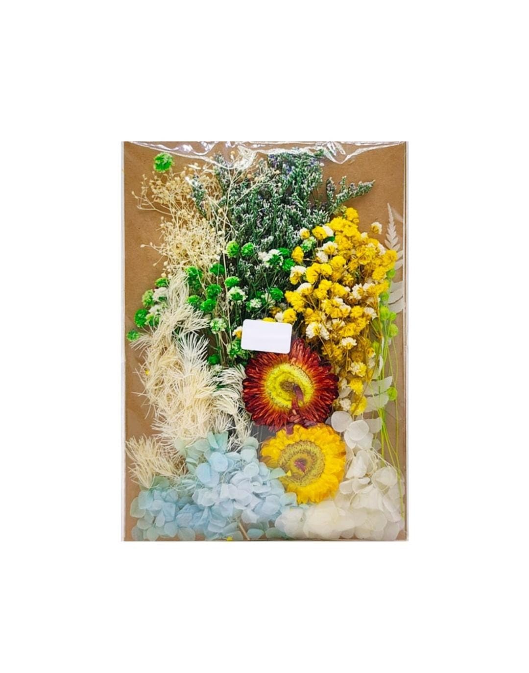Prescent Multicolor Real Dry Flower Big Packet for Resin Art, Craft, Projects, Decoration, Jewelry Making, and Much More (PKT-MG20578)-image-41