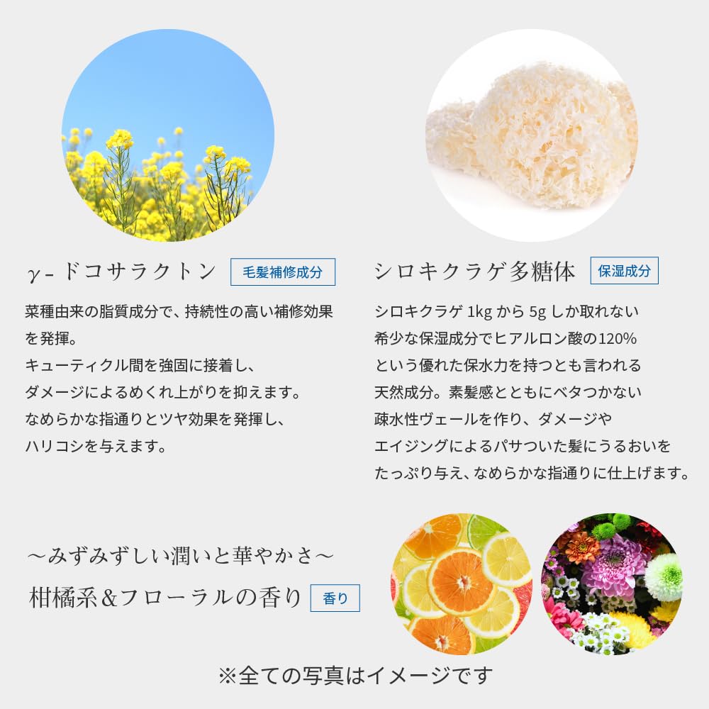 Amazon | TAYA 田谷 ウォータージュエル シャンプー 250mL ダメージ