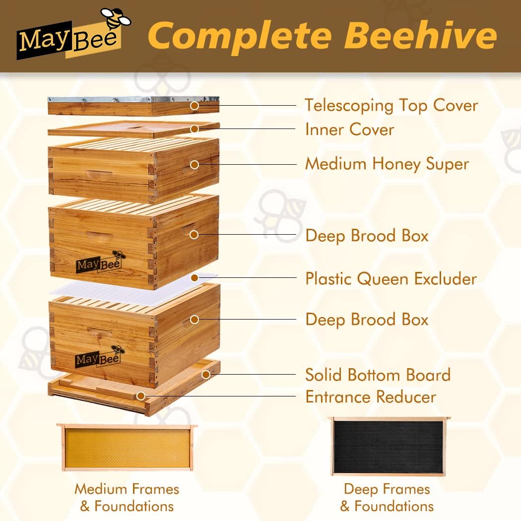 10-Frame Langstroth Beehive Dipped in 100% Beeswax, Complete Bee Hives and Supplies Starter Kit Includes 2 Deep Hive Bee Boxes and 1 Bee Hive Super with Beehive Frames and Foundations