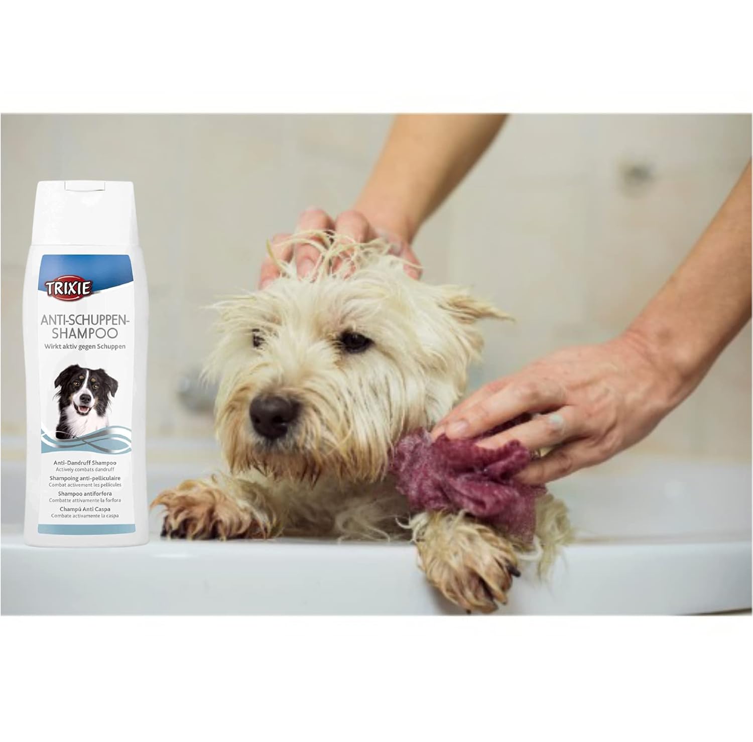 Can You Use Human Dandruff Shampoo On Dogs