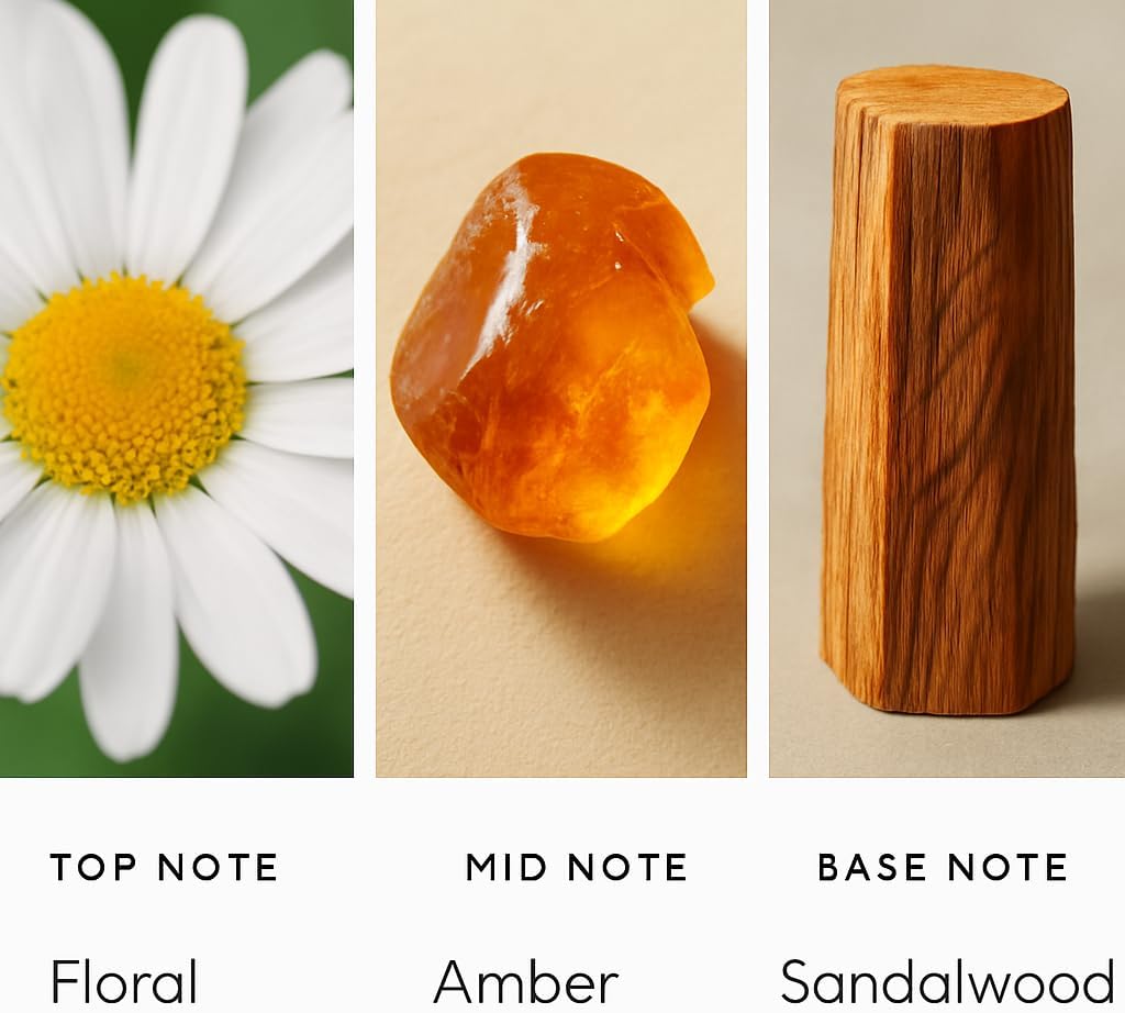 My Way Diffuser Oil Hotel Scents Inspired by 1 Hotel Miami, Waterless Essential Oil Diffuser Refills, Hotel Diffuser Oil, Hotel Fragrance Oil Scent Diffuser refill ultrasonic diffusers Home Essentials