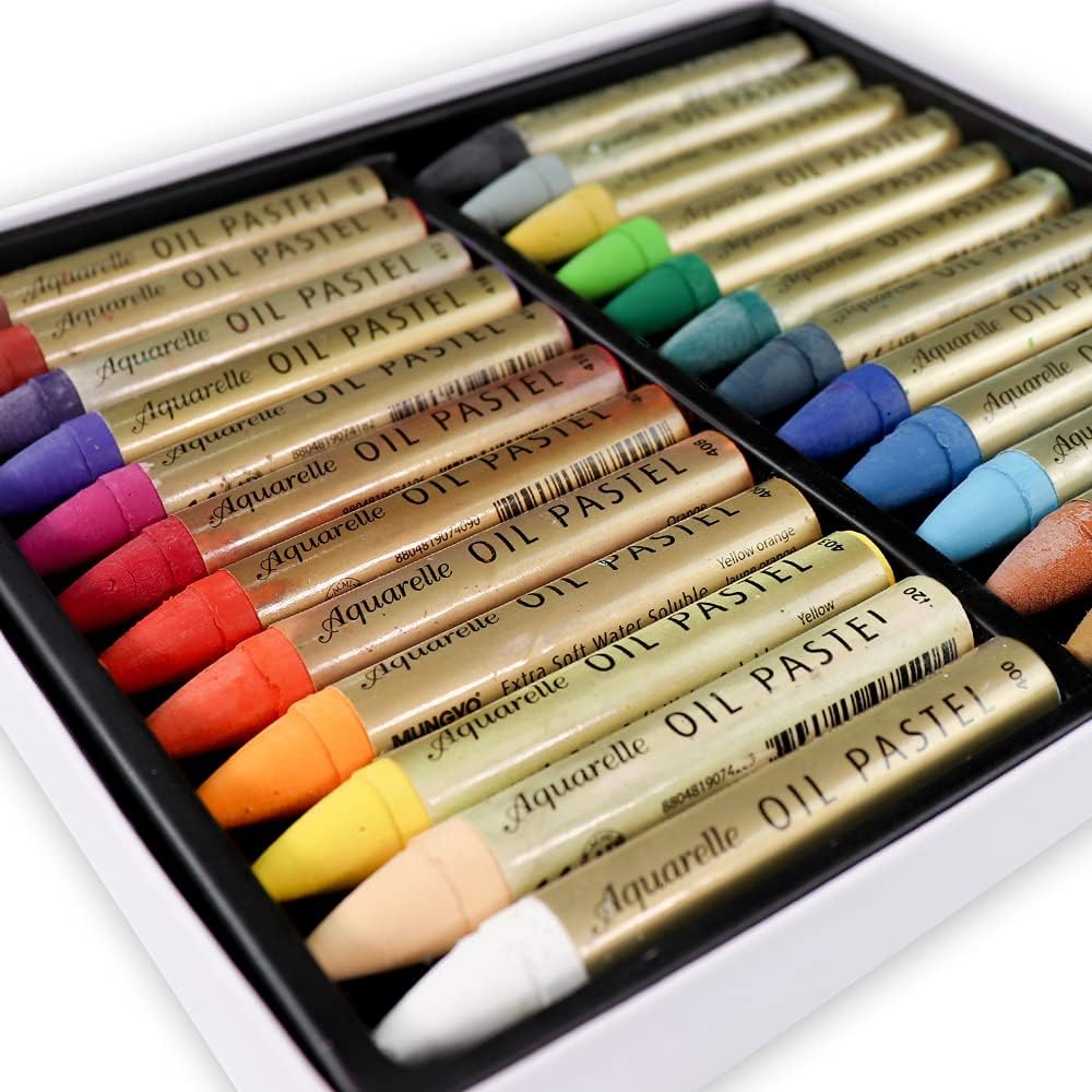 HA SHI Water-Soluble Oil Pastels for Artists 24 Colors, Soft Watercolor Art Sticks, Premium Art Supplies for Adult Artists - Blendable, Vibrant Hues, Korean Craftsmanship
