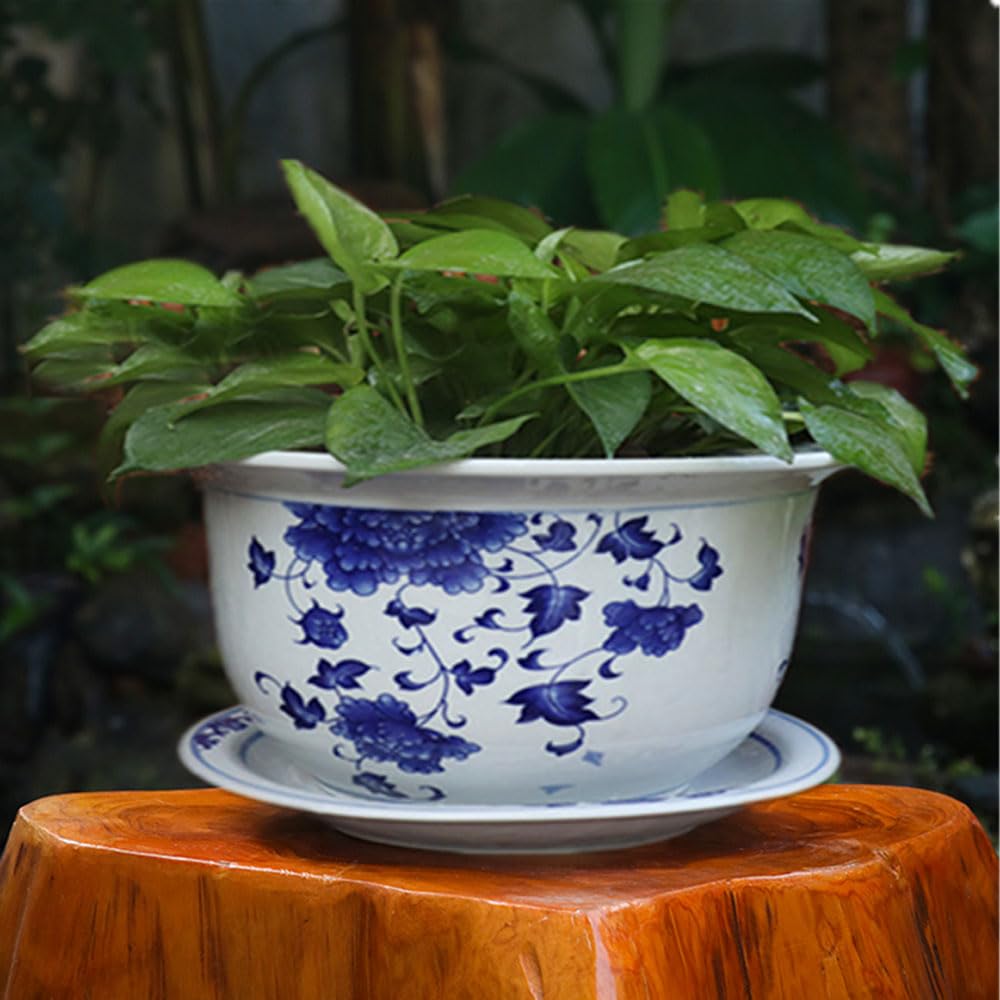 asdchZen Blue And White Porcelain Flowerpot Cactus Pots Chinoiserie Ceramic Plant Pots Indoor Ceramic Flower Pot Oriental Planter Blue And White Planter Planters With Rounded Flow,C-34 * 23cm