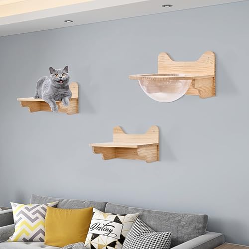 Cápsula espacial de madera para gatos montada en la pared, cama para gatos grandes, transparente